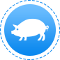 Swine Pig Boar Breeding Reproductive Solution