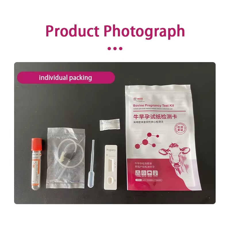 Cattle Cow Early Pregnancy test Card Set Veterinary Instrument