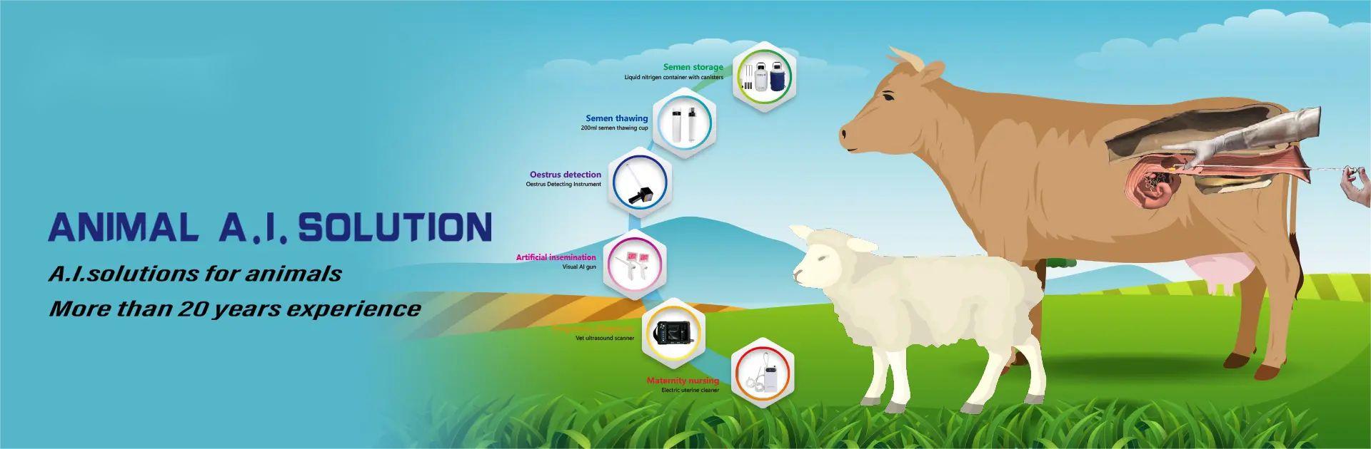 what is Artificial insemination technology for cattle