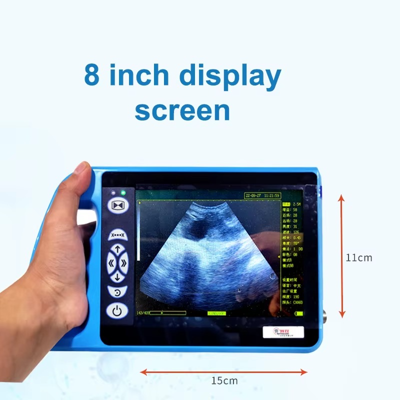 Veterinary ultrasound scanner
